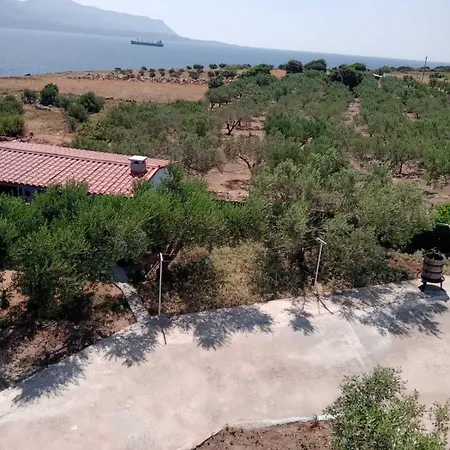 The Captain 3* אלפוניסוס