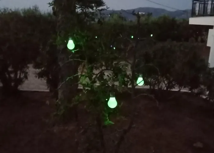 The Captain אלפוניסוס