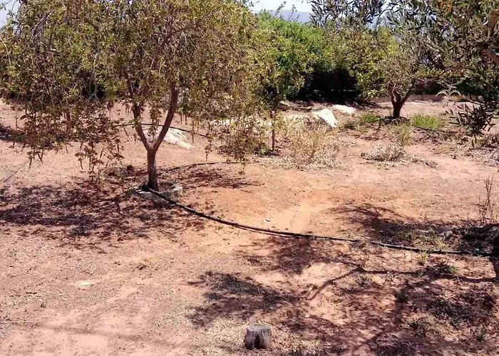 The Captain 3* אלפוניסוס