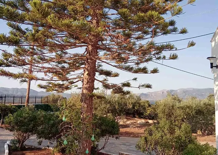 Gasthuis The Captain Elafonissos