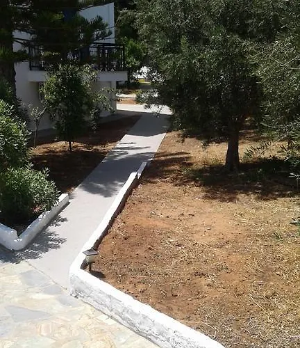 The Captain אלפוניסוס